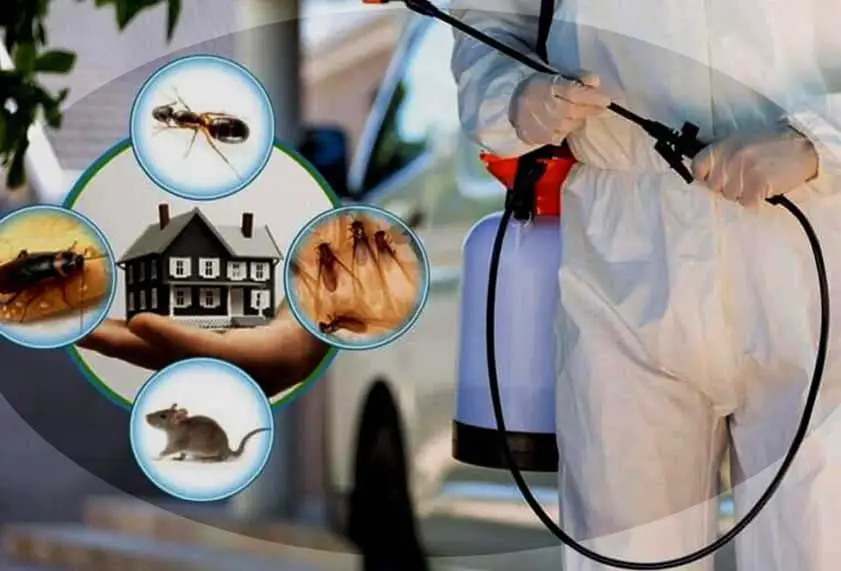 Pest Control